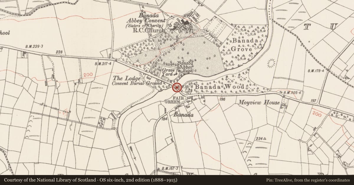 Ordnance Survey six-inch map, 2nd edition (1888–1915) covering the location of Bridge, Banada, County Sligo, with a pin at the register's coordinates