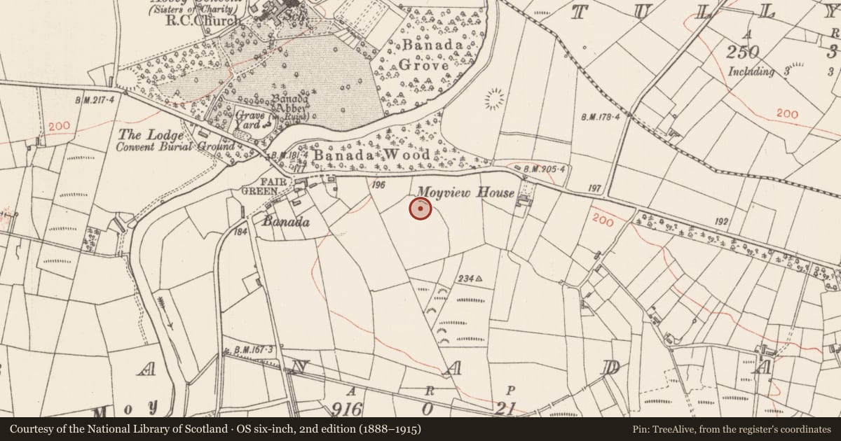 Ordnance Survey six-inch map, 2nd edition (1888–1915) covering the location of Ringfort - rath, Banada, County Sligo, with a pin at the register's coordinates