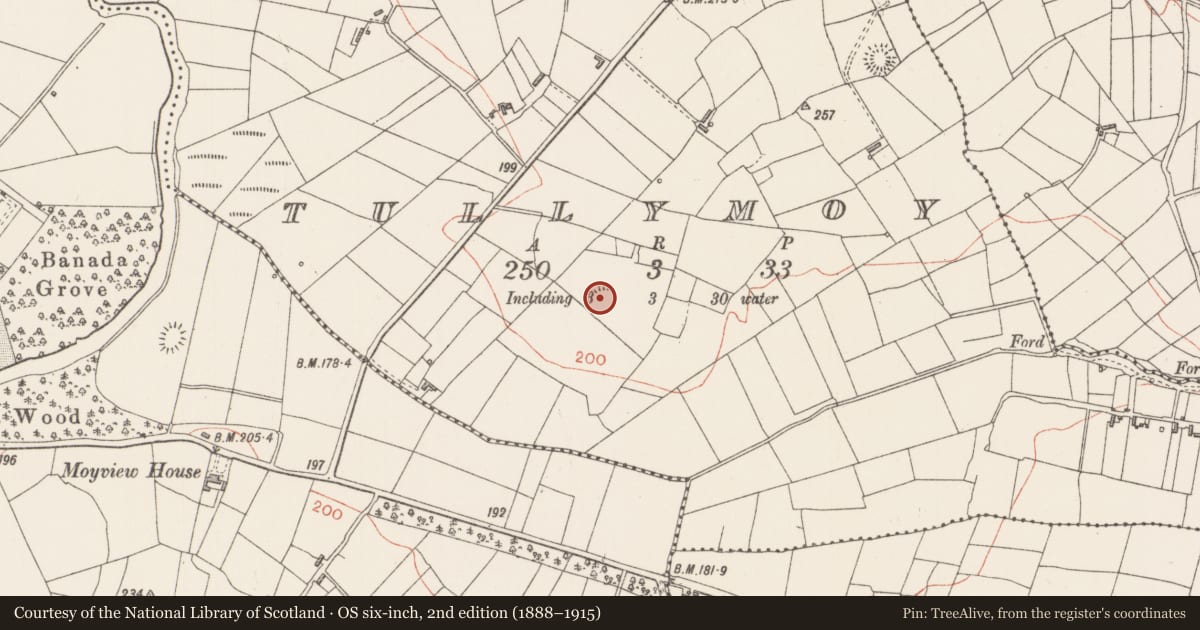 Ordnance Survey six-inch map, 2nd edition (1888–1915) covering the location of Ringfort - rath, Tullymoy, County Sligo, with a pin at the register's coordinates