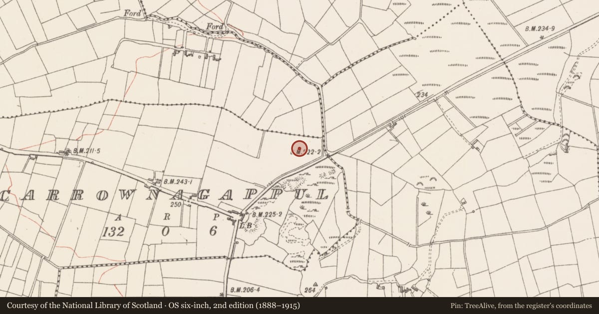 Ordnance Survey six-inch map, 2nd edition (1888–1915) covering the location of Moated site, Carrownagappul, County Sligo, with a pin at the register's coordinates
