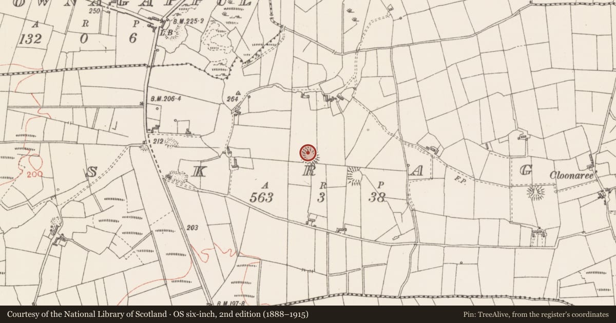 Ordnance Survey six-inch map, 2nd edition (1888–1915) covering the location of Ringfort - rath, Eskragh, County Sligo, with a pin at the register's coordinates