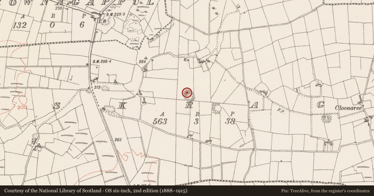 Ordnance Survey six-inch map, 2nd edition (1888–1915) covering the location of Souterrain, Eskragh, County Sligo, with a pin at the register's coordinates