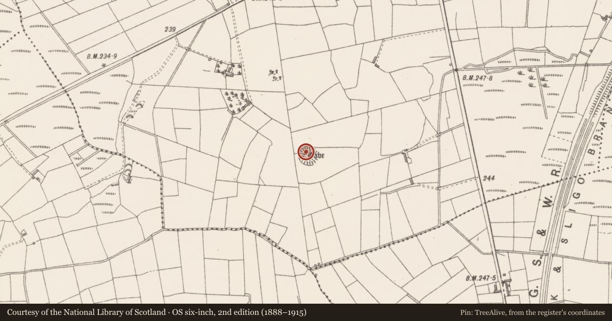 Ordnance Survey six-inch map, 2nd edition (1888–1915) covering the location of Ringfort - cashel, Rue, County Sligo, with a pin at the register's coordinates
