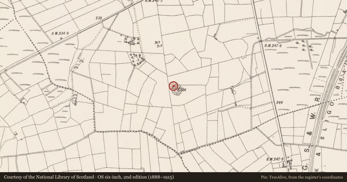 Ordnance Survey six-inch map, 2nd edition (1888–1915) covering the location of Souterrain, Rue, County Sligo, with a pin at the register's coordinates