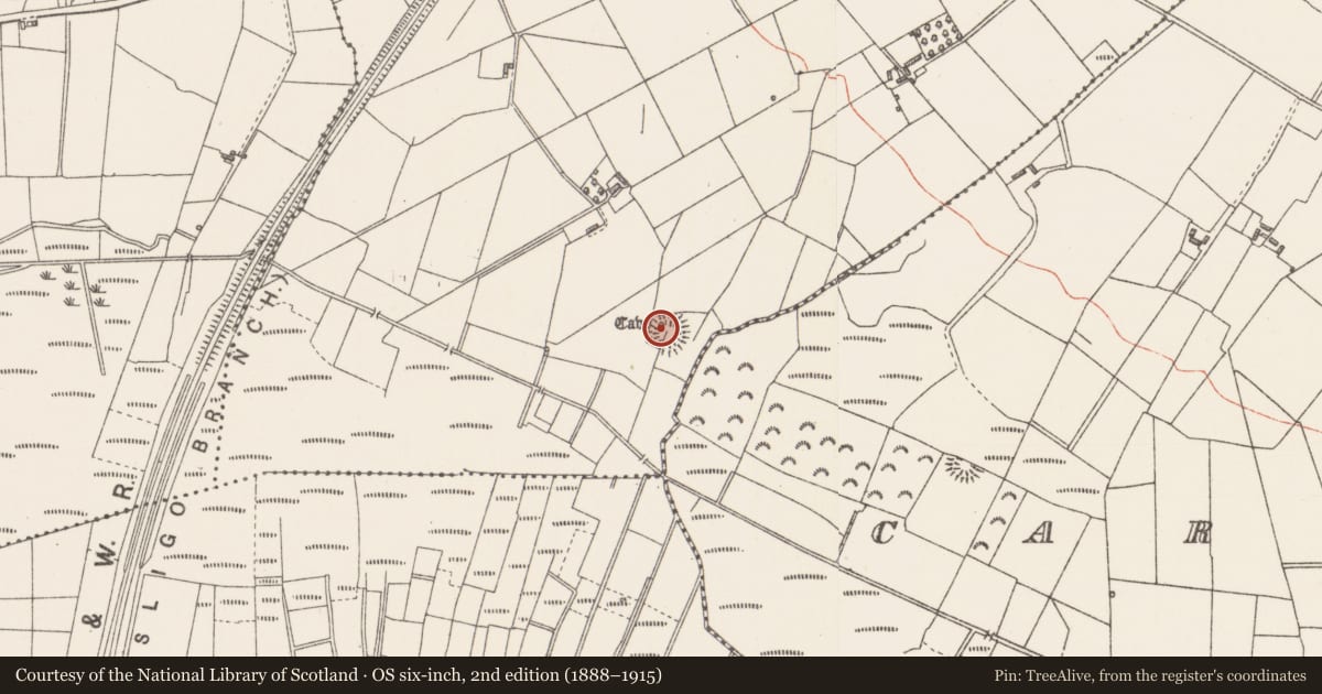 Ordnance Survey six-inch map, 2nd edition (1888–1915) covering the location of Ringfort - rath, Rathscanlan, County Sligo, with a pin at the register's coordinates