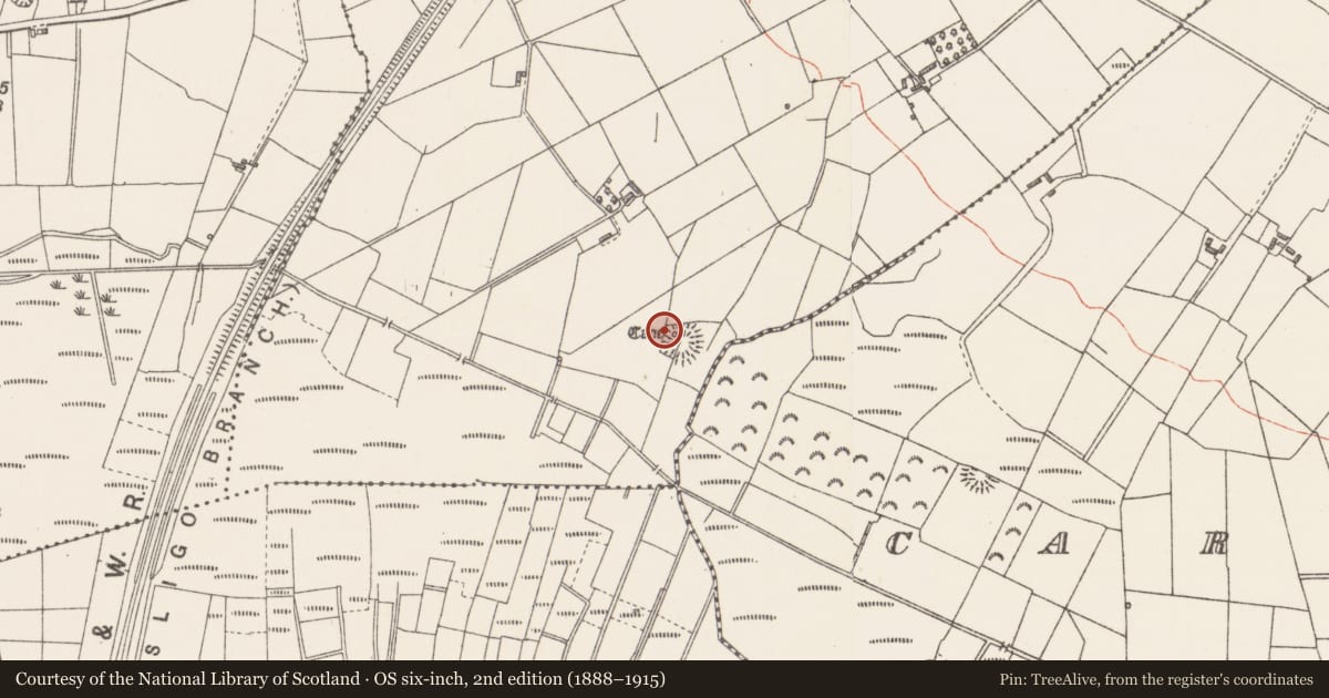 Ordnance Survey six-inch map, 2nd edition (1888–1915) covering the location of Souterrain, Rathscanlan, County Sligo, with a pin at the register's coordinates