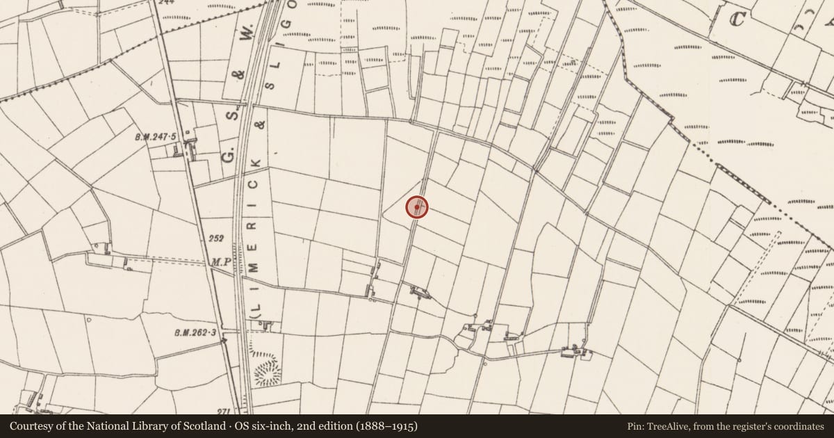 Ordnance Survey six-inch map, 2nd edition (1888–1915) covering the location of Children's burial ground, Cashel South, County Sligo, with a pin at the register's coordinates