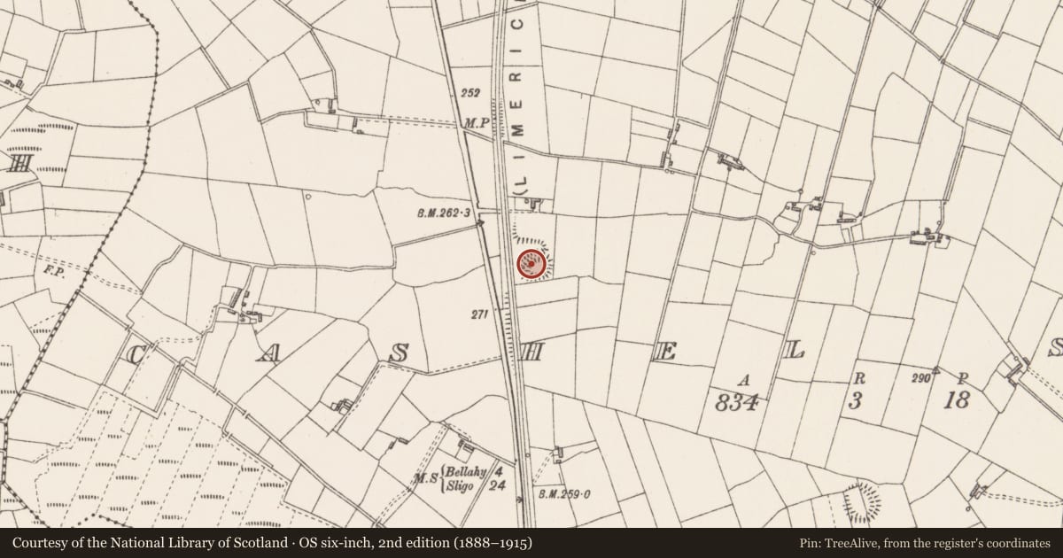 Ordnance Survey six-inch map, 2nd edition (1888–1915) covering the location of Ringfort - rath, Cashel South, County Sligo, with a pin at the register's coordinates