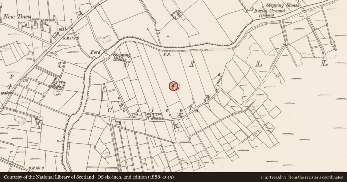 Ordnance Survey six-inch map, 2nd edition (1888–1915) covering the location of Ringfort - rath, Coolrecuill, County Sligo, with a pin at the register's coordinates