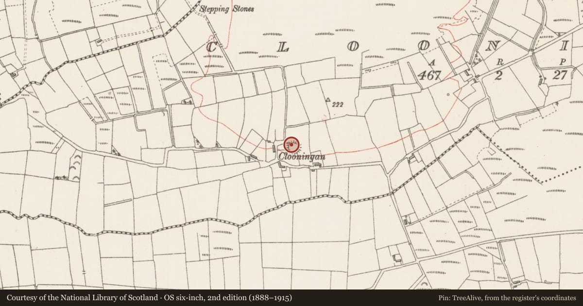 Ordnance Survey six-inch map, 2nd edition (1888–1915) covering the location of Ringfort - rath, Clooningan, County Sligo, with a pin at the register's coordinates
