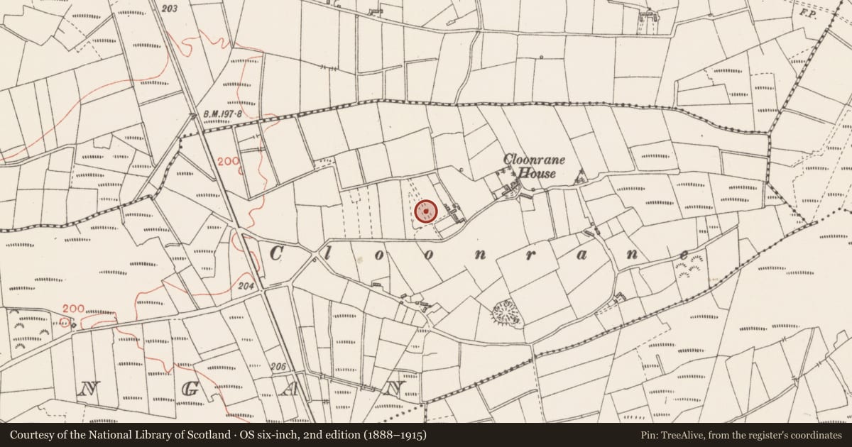 Ordnance Survey six-inch map, 2nd edition (1888–1915) covering the location of Ringfort - rath, Clooningan, County Sligo, with a pin at the register's coordinates