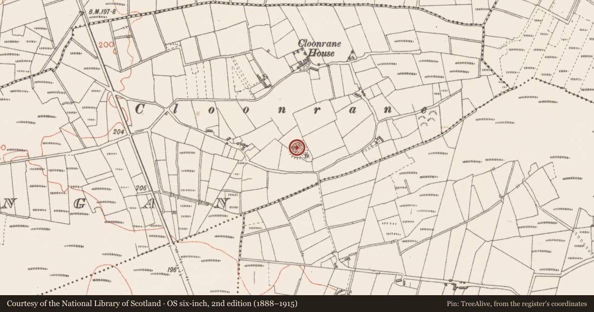 Ordnance Survey six-inch map, 2nd edition (1888–1915) covering the location of Ringfort - rath, Clooningan, County Sligo, with a pin at the register's coordinates