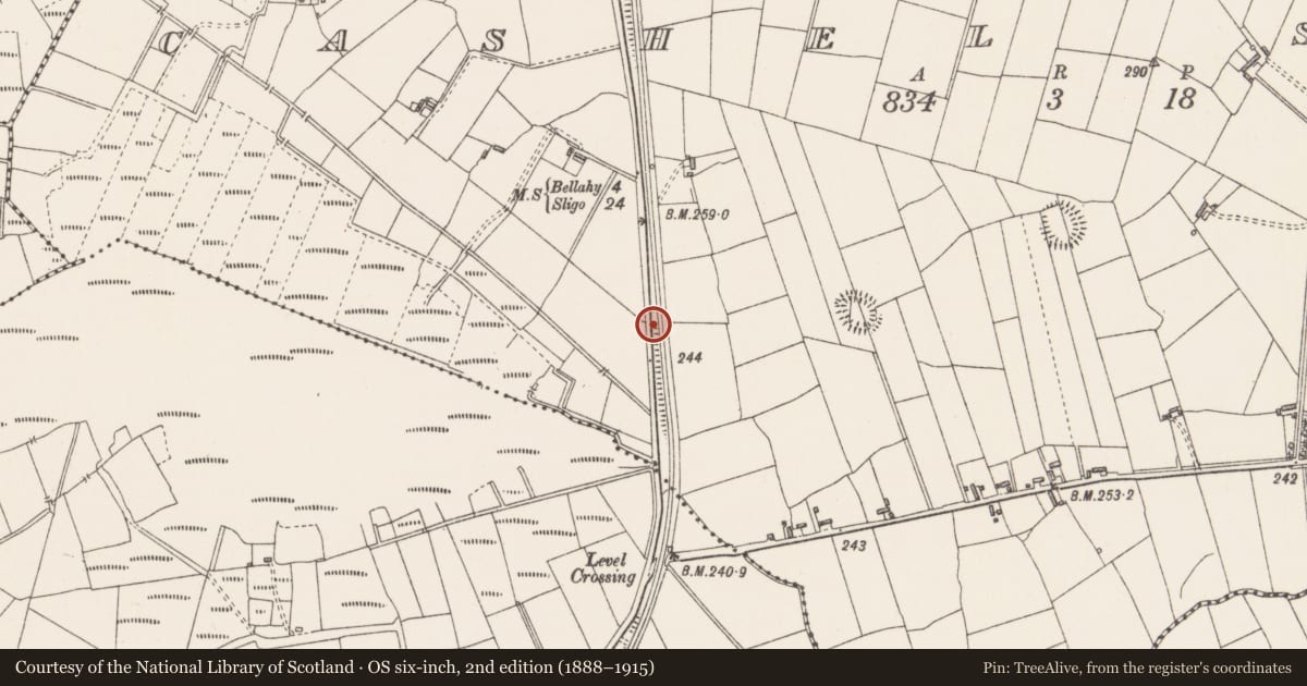 Ordnance Survey six-inch map, 2nd edition (1888–1915) covering the location of Ringfort - rath, Cashel South, County Sligo, with a pin at the register's coordinates