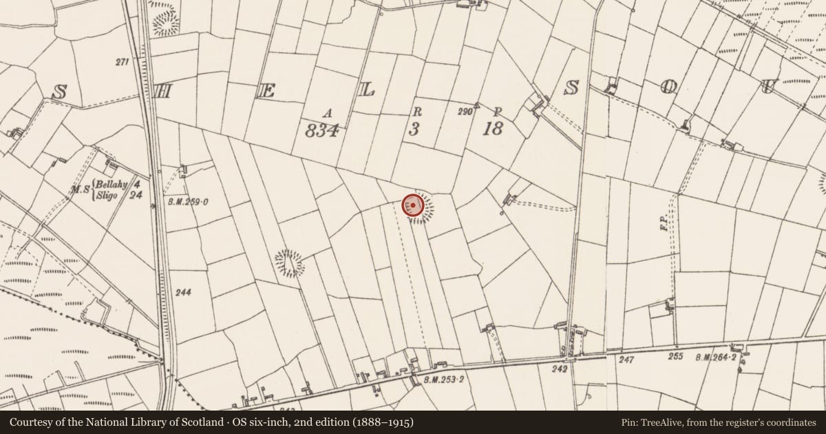 Ordnance Survey six-inch map, 2nd edition (1888–1915) covering the location of Children's burial ground, Cashel South, County Sligo, with a pin at the register's coordinates