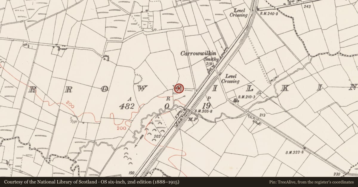 Ordnance Survey six-inch map, 2nd edition (1888–1915) covering the location of Moated site, Carrowwilkin, County Sligo, with a pin at the register's coordinates