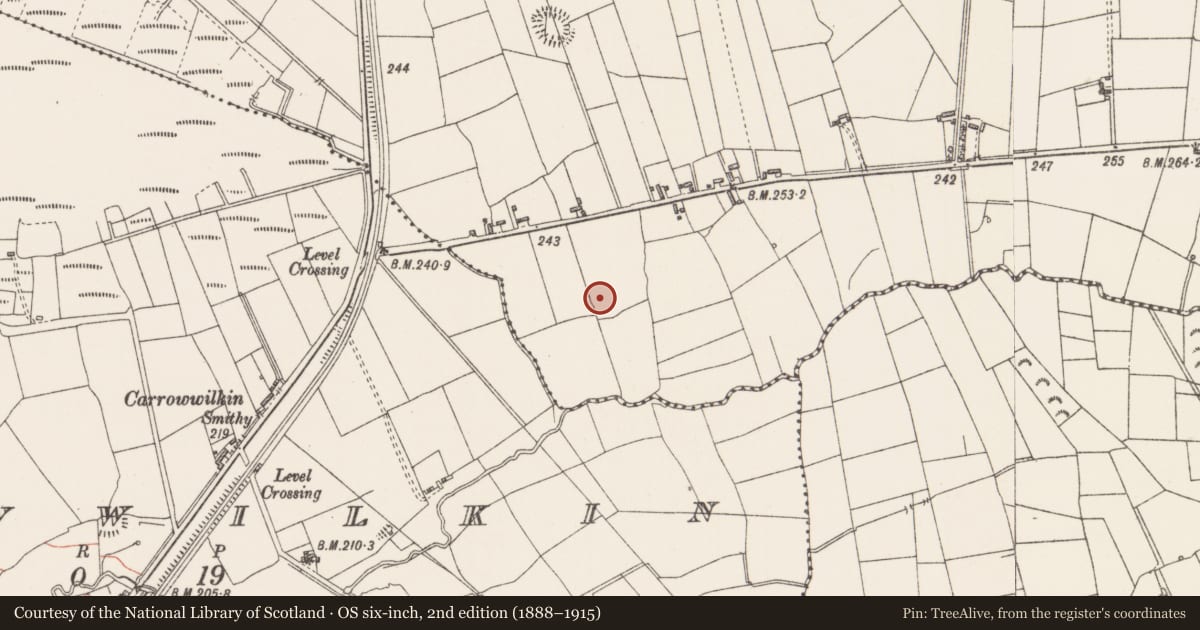 Ordnance Survey six-inch map, 2nd edition (1888–1915) covering the location of Ringfort - rath, Cashel South, County Sligo, with a pin at the register's coordinates