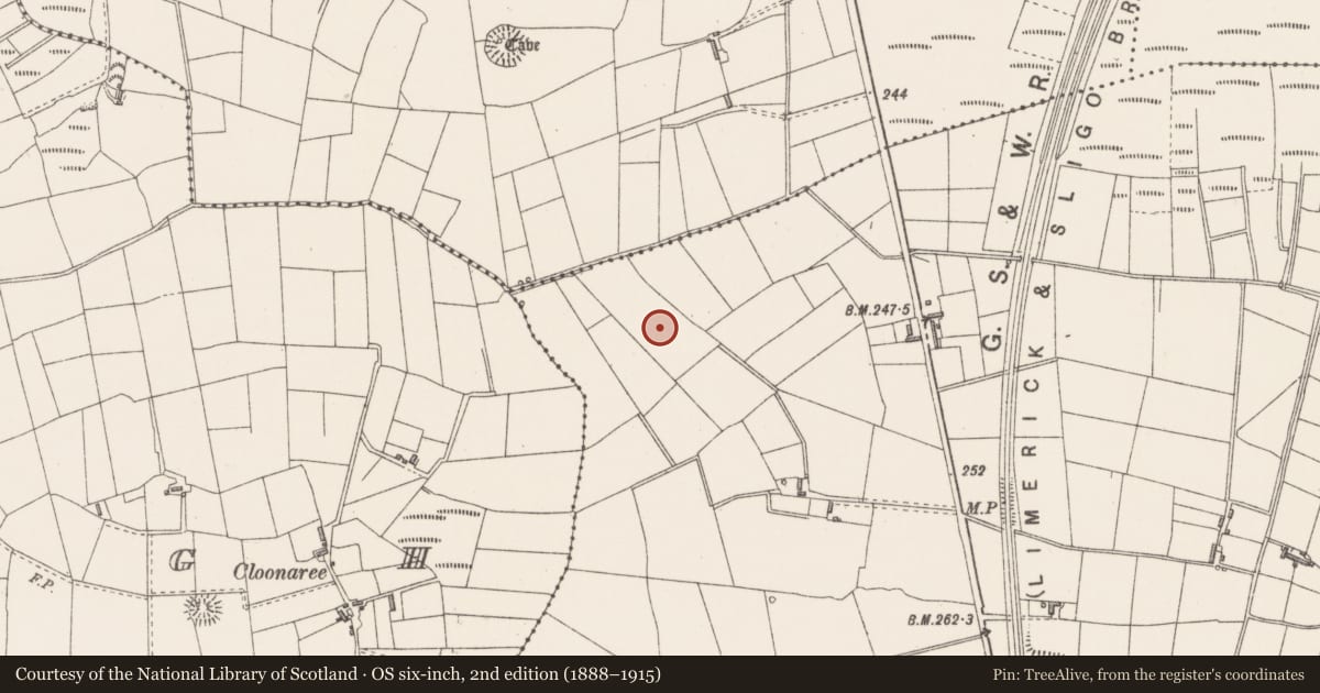 Ordnance Survey six-inch map, 2nd edition (1888–1915) covering the location of Barrow - ditch barrow, Cashel South, County Sligo, with a pin at the register's coordinates