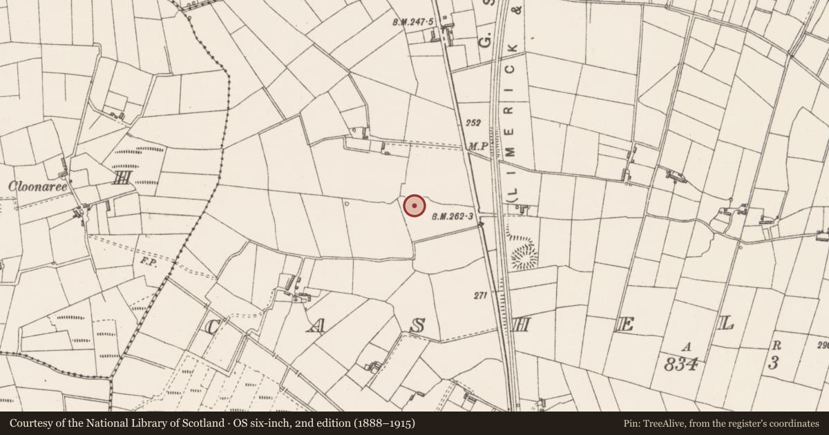 Ordnance Survey six-inch map, 2nd edition (1888–1915) covering the location of Barrow - unclassified, Cashel South, County Sligo, with a pin at the register's coordinates