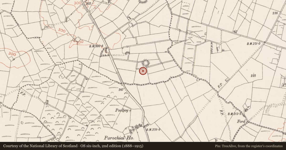 Ordnance Survey six-inch map, 2nd edition (1888–1915) covering the location of Souterrain, Carraun, County Sligo, with a pin at the register's coordinates