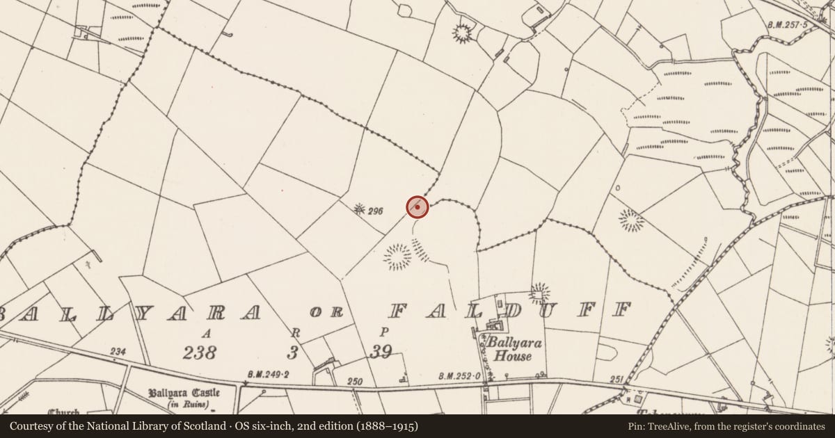 Ordnance Survey six-inch map, 2nd edition (1888–1915) covering the location of Souterrain, Ballyara Or Falduff, County Sligo, with a pin at the register's coordinates