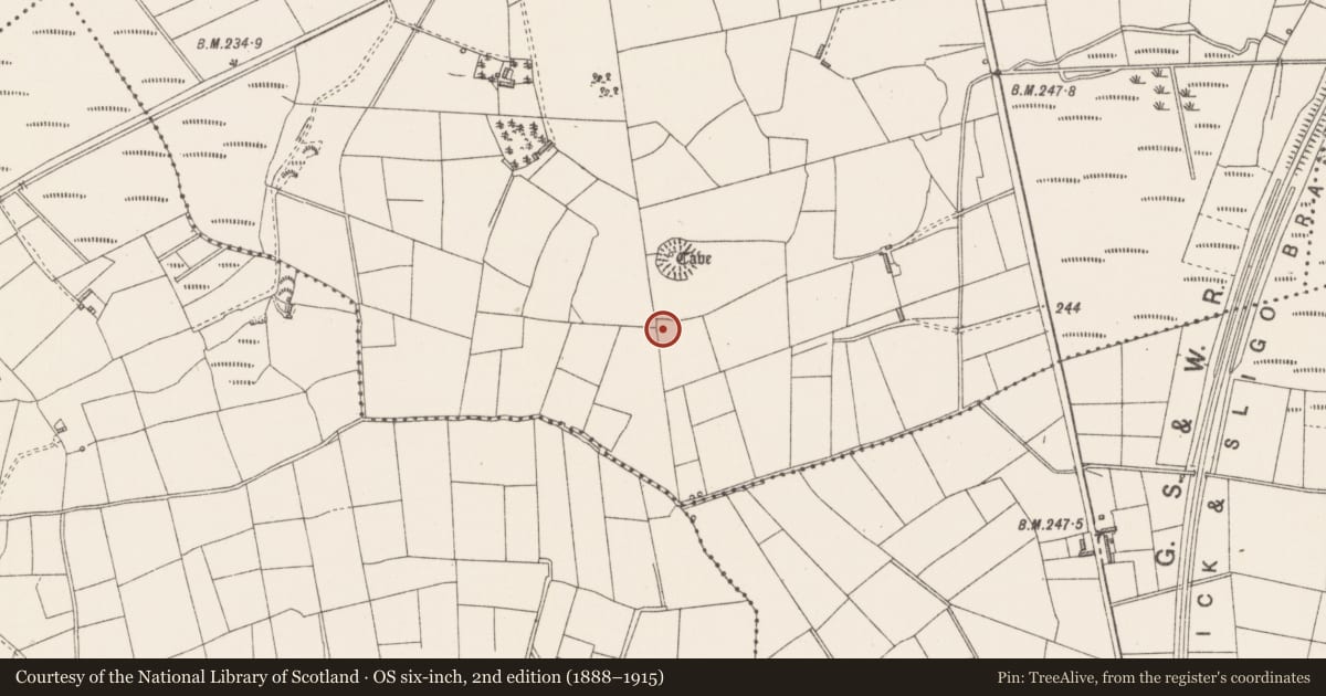 Ordnance Survey six-inch map, 2nd edition (1888–1915) covering the location of Burnt mound, Rue, County Sligo, with a pin at the register's coordinates