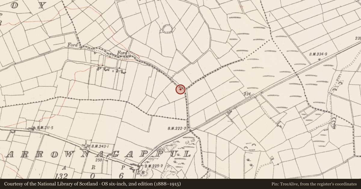 Ordnance Survey six-inch map, 2nd edition (1888–1915) covering the location of Burnt mound, Tullymoy, County Sligo, with a pin at the register's coordinates