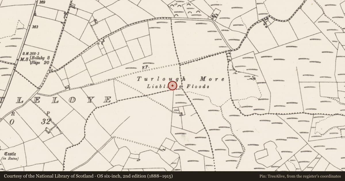 Ordnance Survey six-inch map, 2nd edition (1888–1915) covering the location of Barrow - ring-barrow, Castleloye, County Sligo, with a pin at the register's coordinates