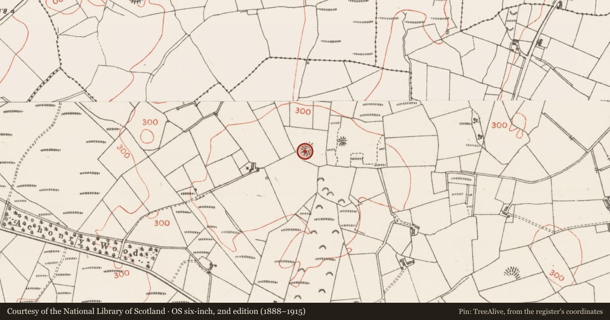 Ordnance Survey six-inch map, 2nd edition (1888–1915) covering the location of Barrow - ring-barrow, Achonry, County Sligo, with a pin at the register's coordinates