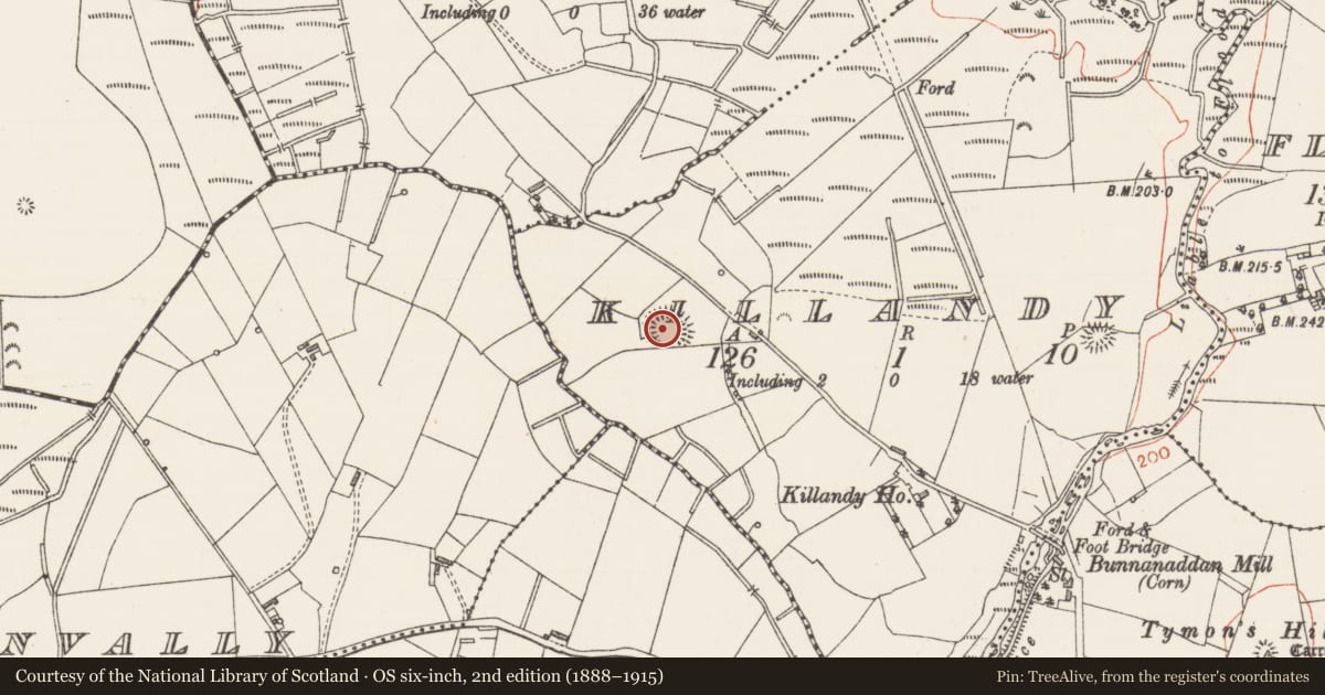 Ordnance Survey six-inch map, 2nd edition (1888–1915) covering the location of Ringfort - rath, Killandy, County Sligo, with a pin at the register's coordinates