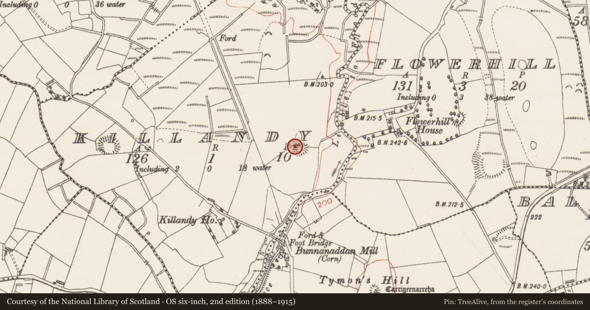Ordnance Survey six-inch map, 2nd edition (1888–1915) covering the location of Ringfort - rath, Killandy, County Sligo, with a pin at the register's coordinates