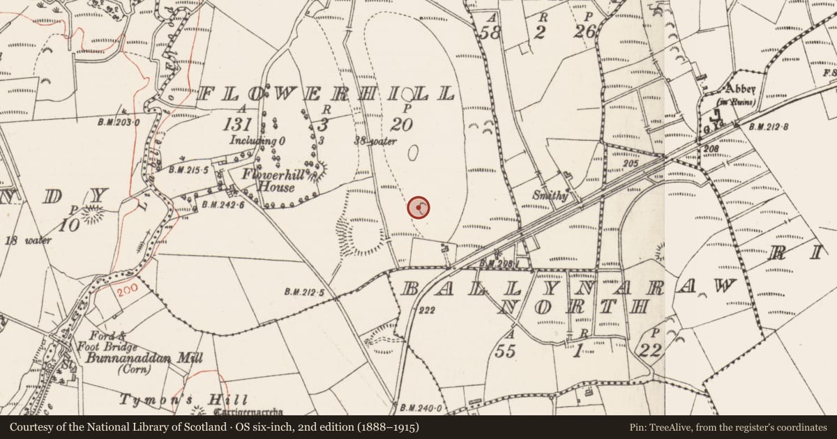 Ordnance Survey six-inch map, 2nd edition (1888–1915) covering the location of Ringfort - rath, Flowerhill, County Sligo, with a pin at the register's coordinates