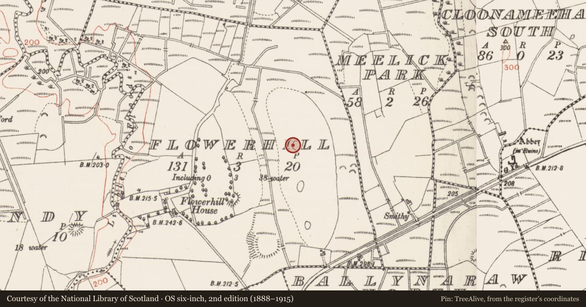 Ordnance Survey six-inch map, 2nd edition (1888–1915) covering the location of Ringfort - rath, Flowerhill, County Sligo, with a pin at the register's coordinates