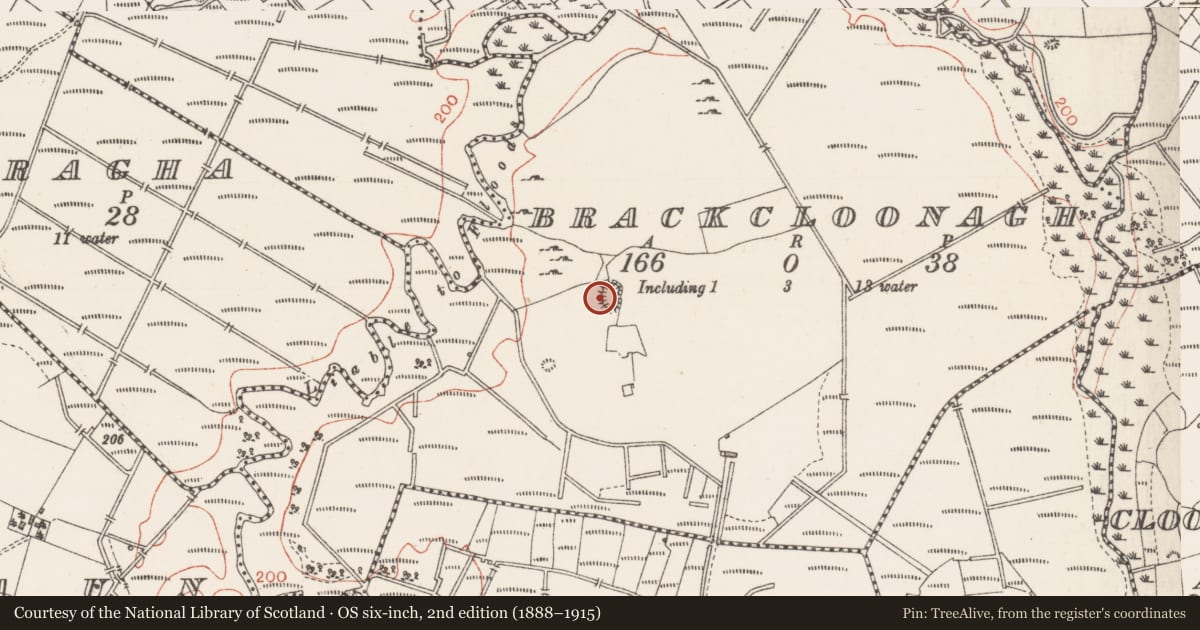 Ordnance Survey six-inch map, 2nd edition (1888–1915) covering the location of Ringfort - rath, Brackcloonagh, County Sligo, with a pin at the register's coordinates