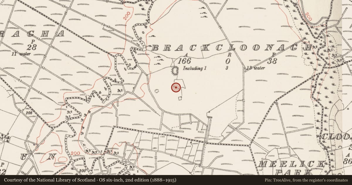 Ordnance Survey six-inch map, 2nd edition (1888–1915) covering the location of Enclosure, Brackcloonagh, County Sligo, with a pin at the register's coordinates