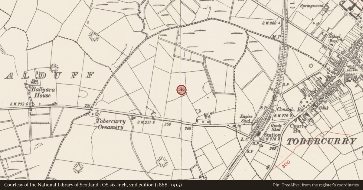 Ordnance Survey six-inch map, 2nd edition (1888–1915) covering the location of Ringfort - rath, Rathscanlan, County Sligo, with a pin at the register's coordinates