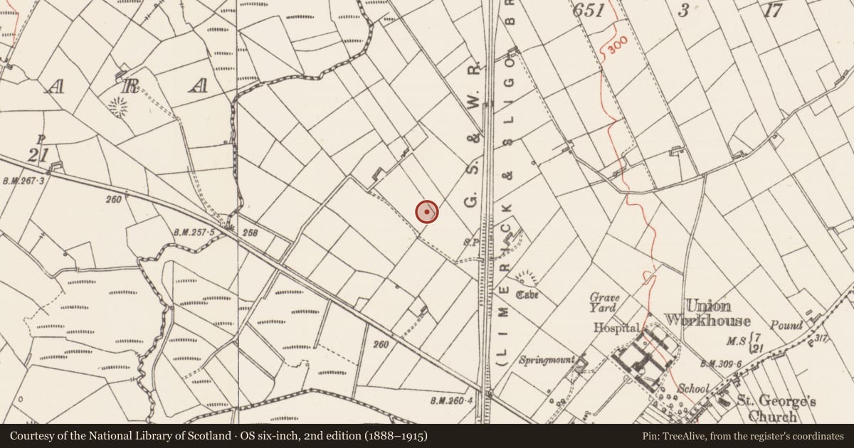 Ordnance Survey six-inch map, 2nd edition (1888–1915) covering the location of Ringfort - rath, Carrowntober, County Sligo, with a pin at the register's coordinates