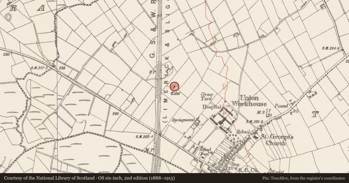 Ordnance Survey six-inch map, 2nd edition (1888–1915) covering the location of Ringfort - rath, Carrowntober, County Sligo, with a pin at the register's coordinates
