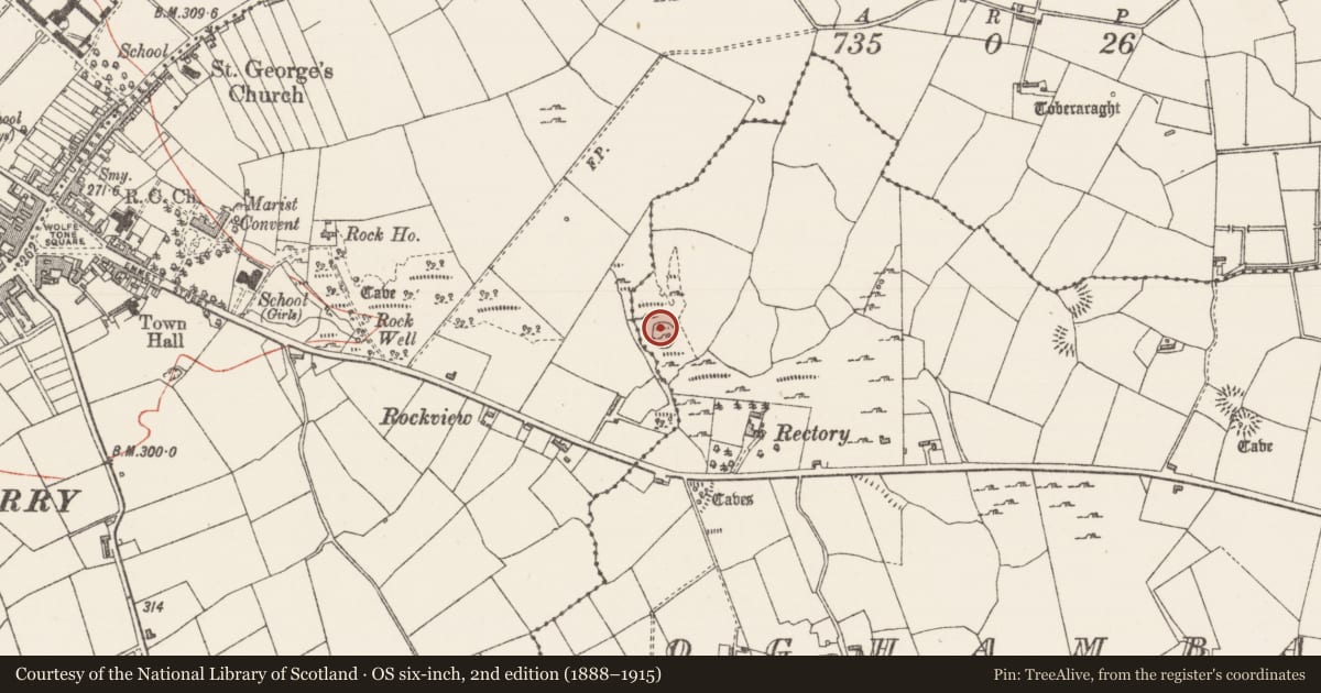 Ordnance Survey six-inch map, 2nd edition (1888–1915) covering the location of Ringfort - cashel, Oghambaun, County Sligo, with a pin at the register's coordinates