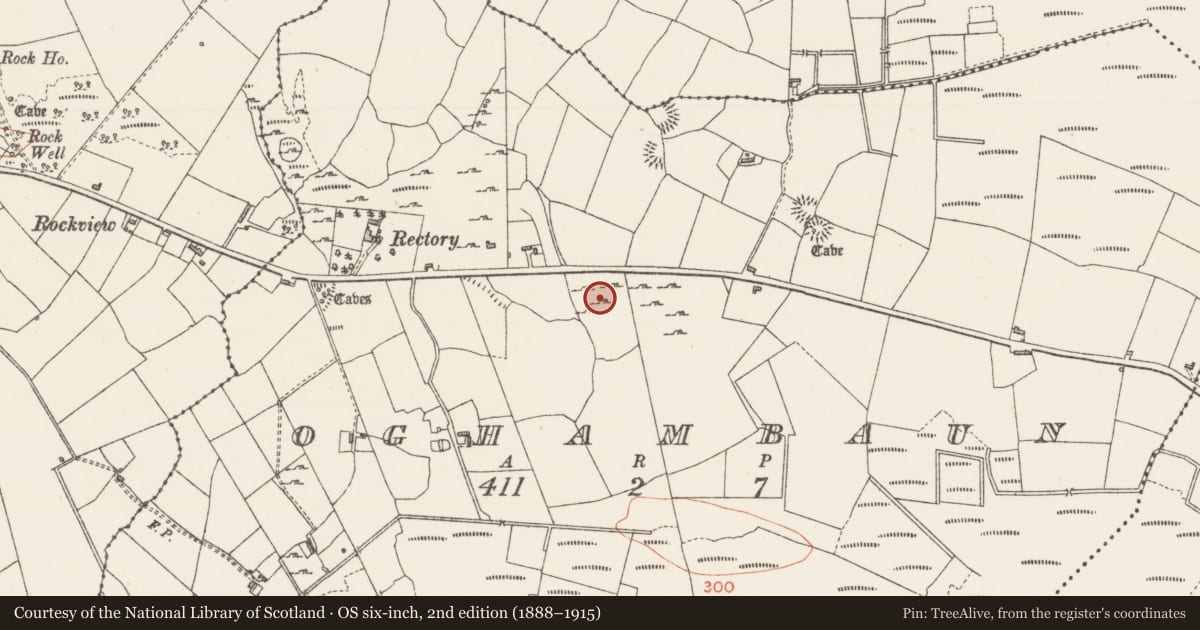 Ordnance Survey six-inch map, 2nd edition (1888–1915) covering the location of Ringfort - rath, Oghambaun, County Sligo, with a pin at the register's coordinates