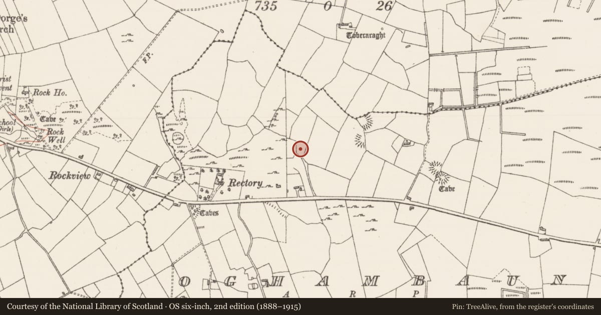 Ordnance Survey six-inch map, 2nd edition (1888–1915) covering the location of Ringfort - rath, Oghambaun, County Sligo, with a pin at the register's coordinates