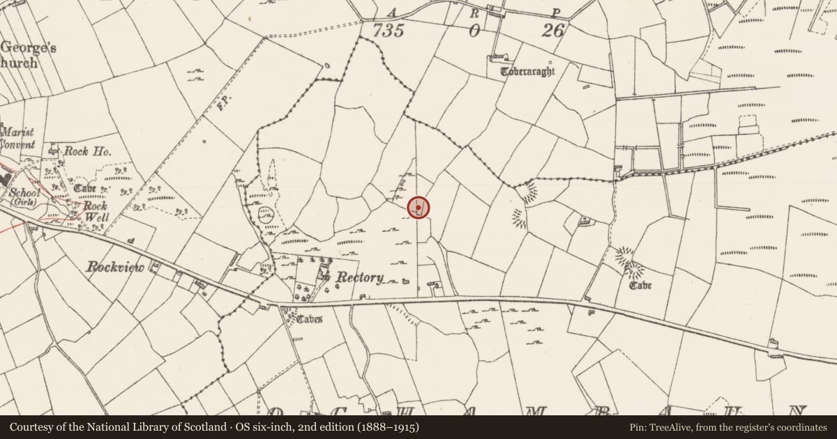 Ordnance Survey six-inch map, 2nd edition (1888–1915) covering the location of Standing stone, Oghambaun, County Sligo, with a pin at the register's coordinates