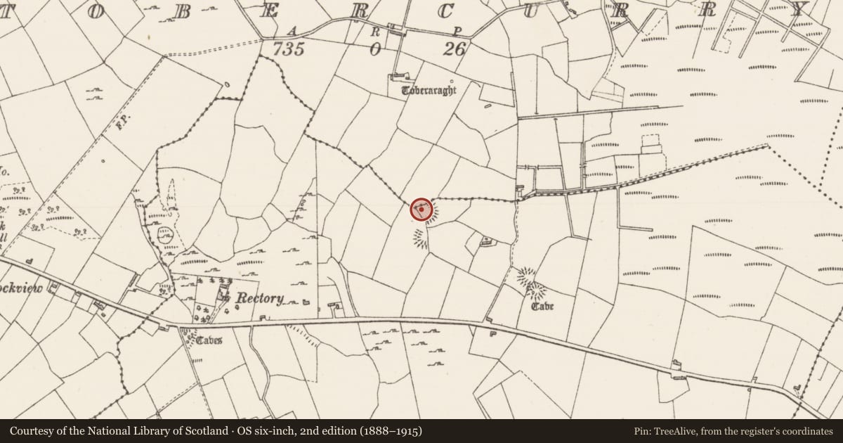Ordnance Survey six-inch map, 2nd edition (1888–1915) covering the location of Ringfort - cashel, Oghambaun, County Sligo, with a pin at the register's coordinates