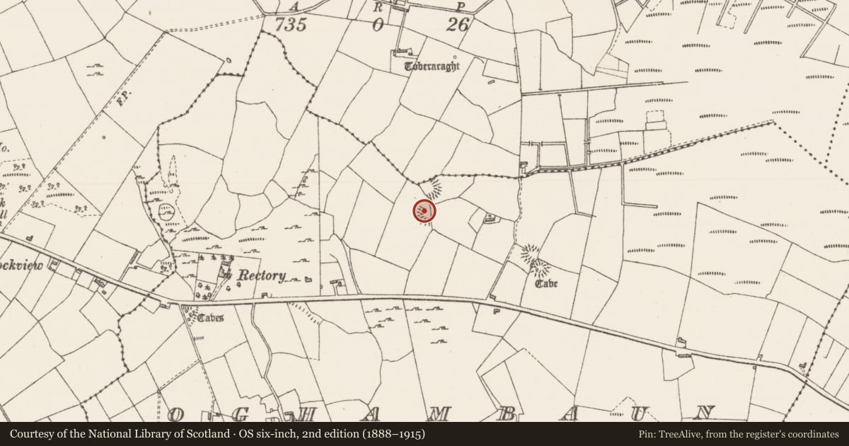 Ordnance Survey six-inch map, 2nd edition (1888–1915) covering the location of Ringfort - rath, Oghambaun, County Sligo, with a pin at the register's coordinates