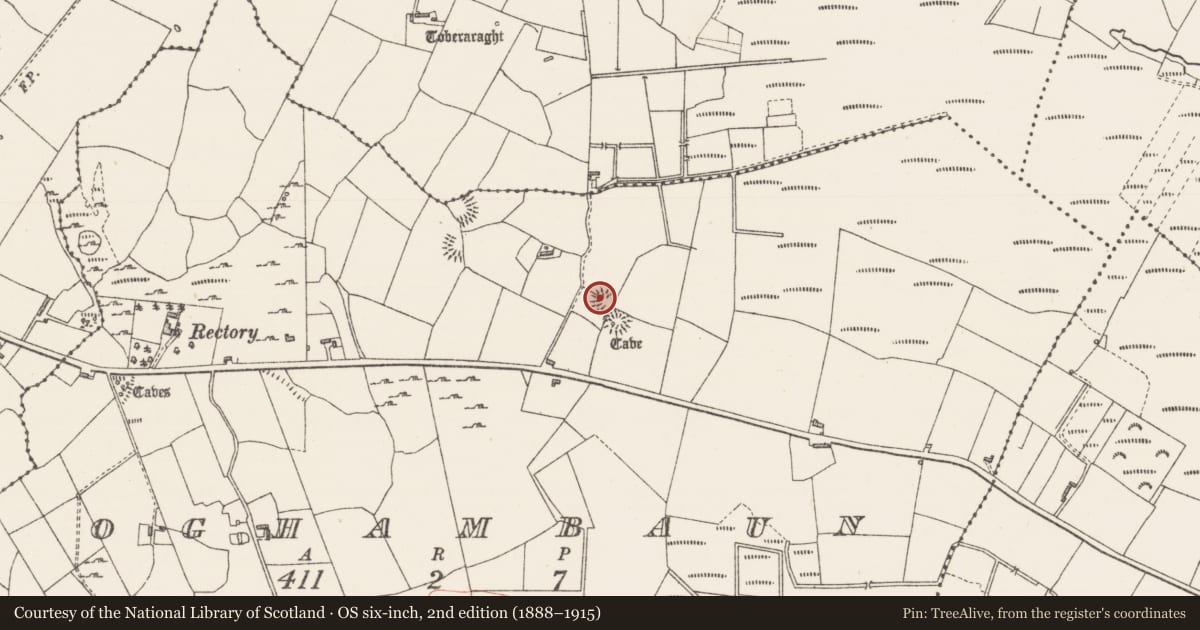 Ordnance Survey six-inch map, 2nd edition (1888–1915) covering the location of Ringfort - rath, Oghambaun, County Sligo, with a pin at the register's coordinates