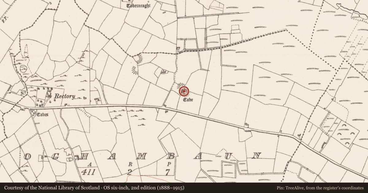 Ordnance Survey six-inch map, 2nd edition (1888–1915) covering the location of Ringfort - cashel, Oghambaun, County Sligo, with a pin at the register's coordinates