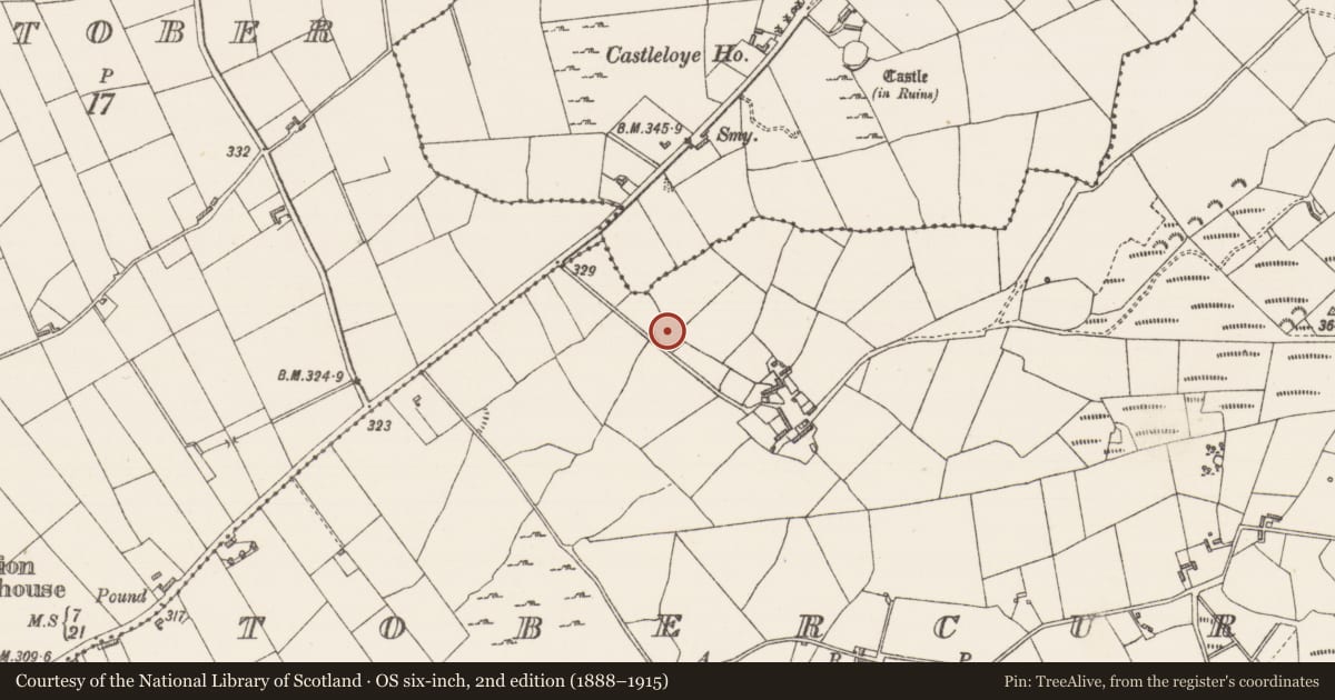 Ordnance Survey six-inch map, 2nd edition (1888–1915) covering the location of Ringfort - cashel, Tobercurry, County Sligo, with a pin at the register's coordinates