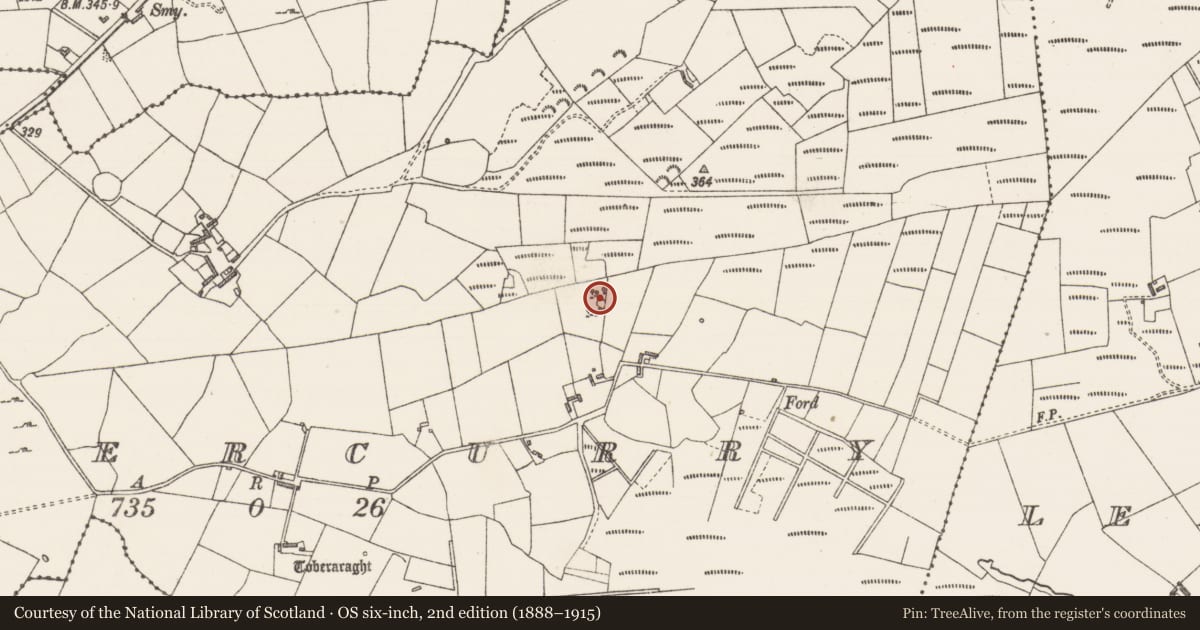 Ordnance Survey six-inch map, 2nd edition (1888–1915) covering the location of Ringfort - cashel, Tobercurry, County Sligo, with a pin at the register's coordinates