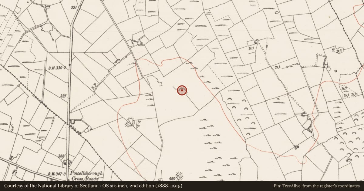 Ordnance Survey six-inch map, 2nd edition (1888–1915) covering the location of Ringfort - rath, Leitrim South, County Sligo, with a pin at the register's coordinates