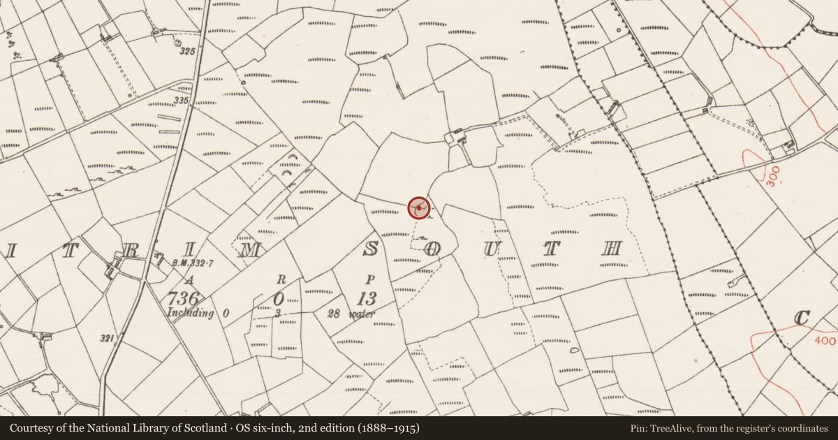 Ordnance Survey six-inch map, 2nd edition (1888–1915) covering the location of Ringfort - cashel, Leitrim South, County Sligo, with a pin at the register's coordinates