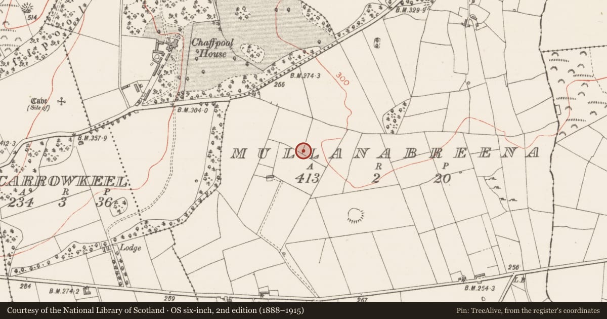 Ordnance Survey six-inch map, 2nd edition (1888–1915) covering the location of Enclosure, Mullanabreena, County Sligo, with a pin at the register's coordinates
